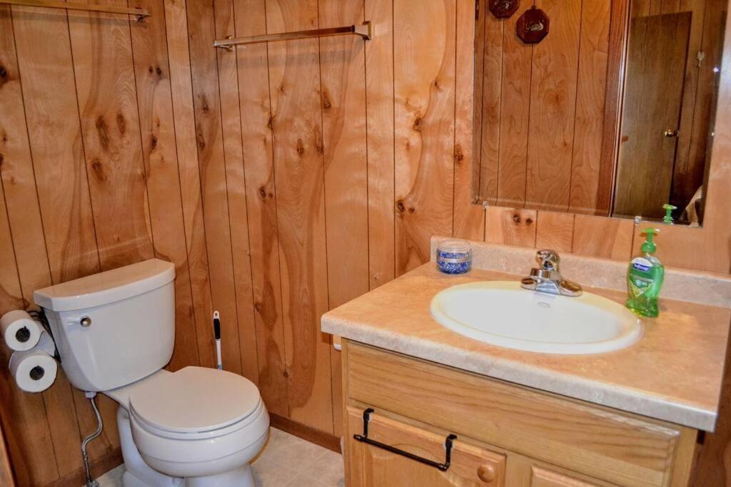 Nitschke'S Resort Cabin #15 Minocqua Dış mekan fotoğraf